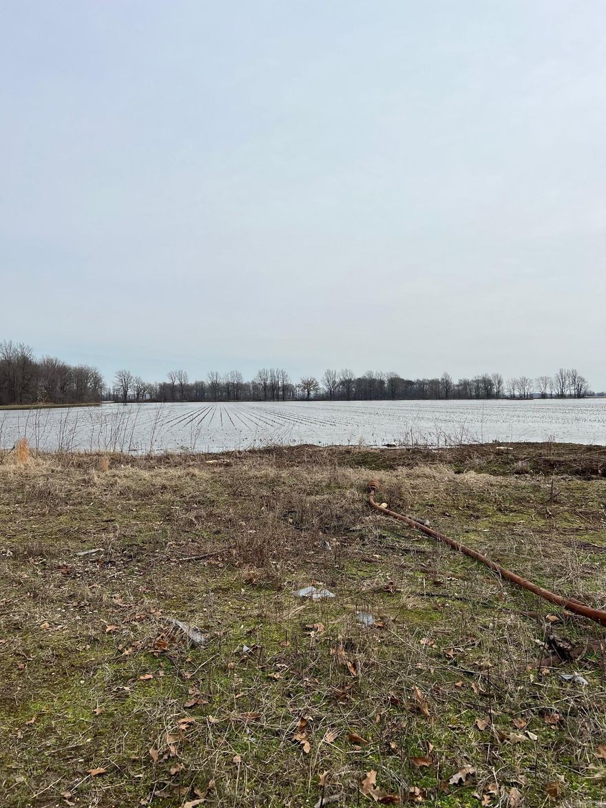 40 acres +/- of level rice ground in Greene County, AR with one irrigation well