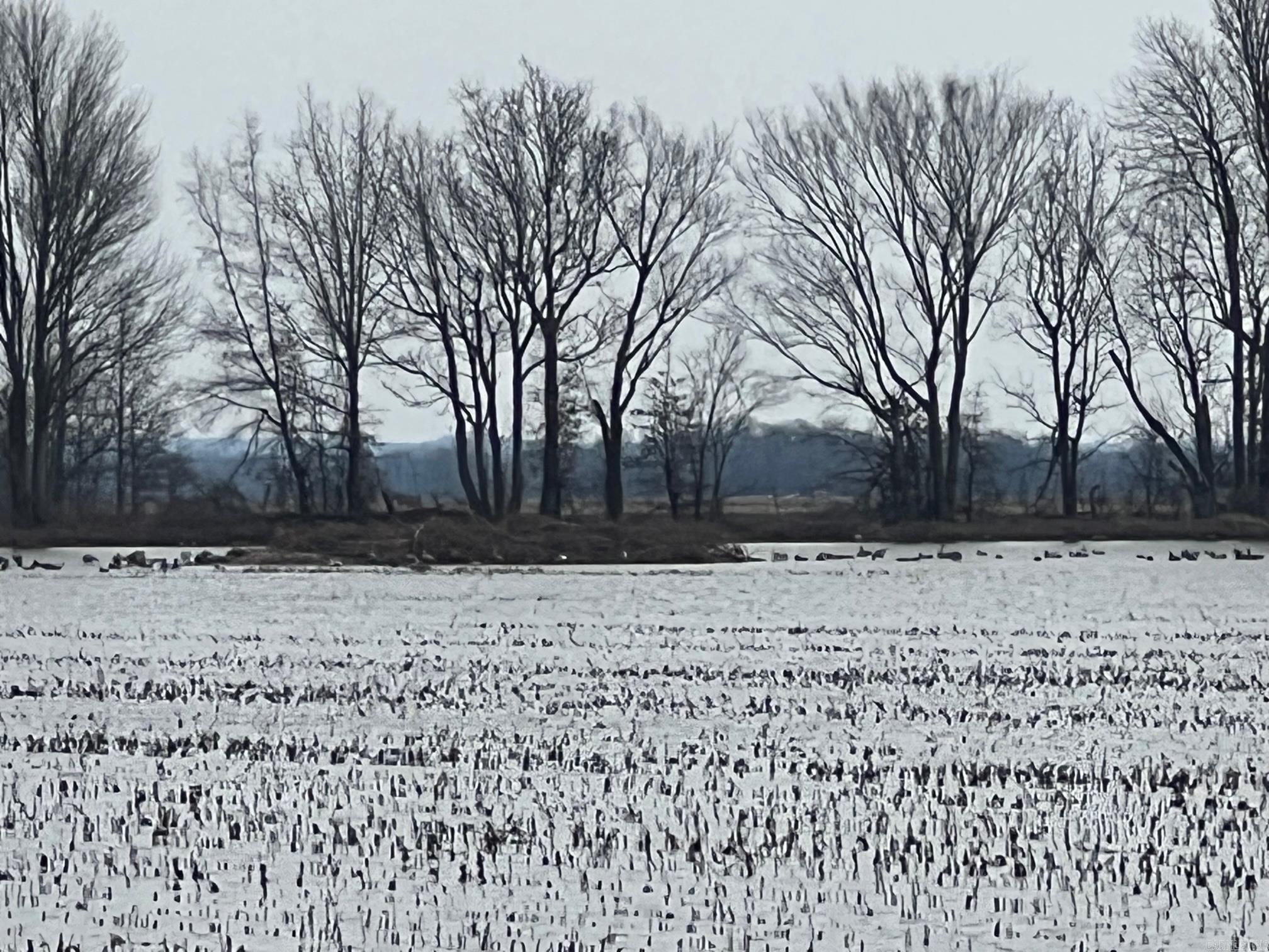 Metes & Bounds - Farm