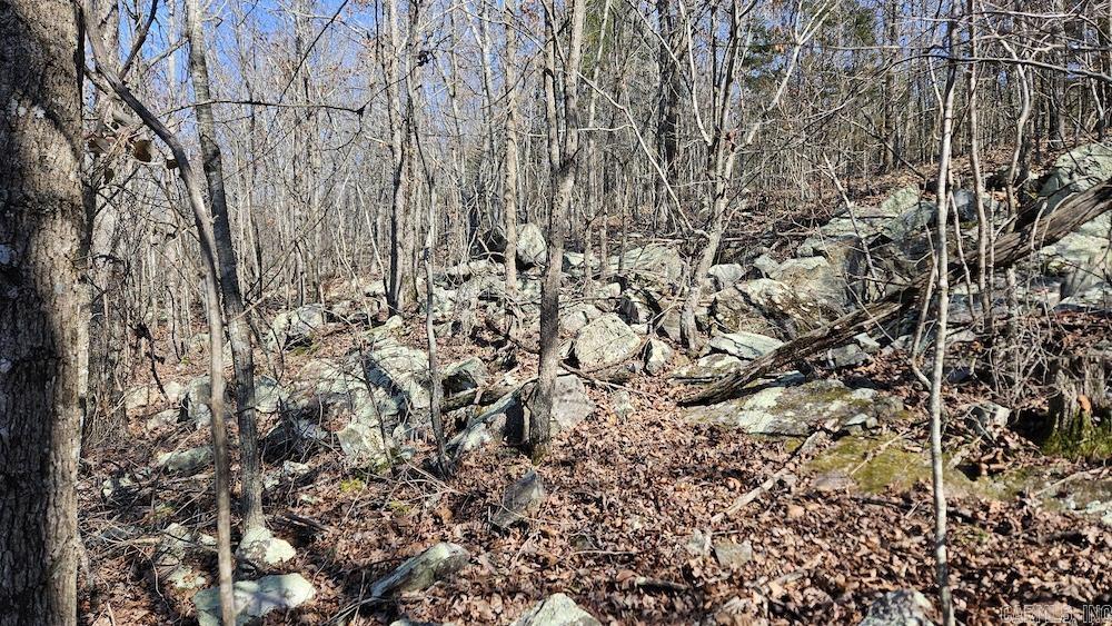 Not in Subdivision - Land