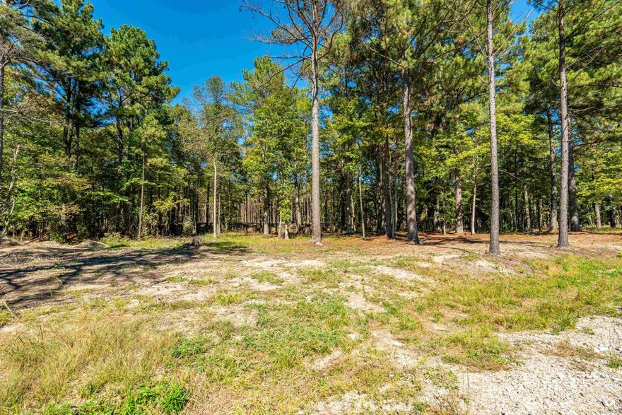 Discover 40 acres of stunning, ready-to-be-developed land offering endless possibilities. Beautiful, wooded acreage offering complete privacy and postcard-perfect scenery.   Homesite has already been cleared, making it easy to envision your perfect dream tucked among the trees. Enjoy the best of both worlds — secluded and surrounded by nature and convenient access from a paved road.    Whether you’re dreaming of building your forever home, starting a small homestead, or creating a private retreat, this property provides the ideal foundation.   Seller is willing to subdivide. Ask list agent for details.