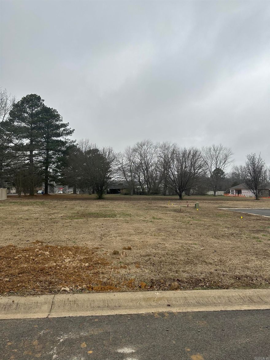 Beautiful lot to build your new patio home.