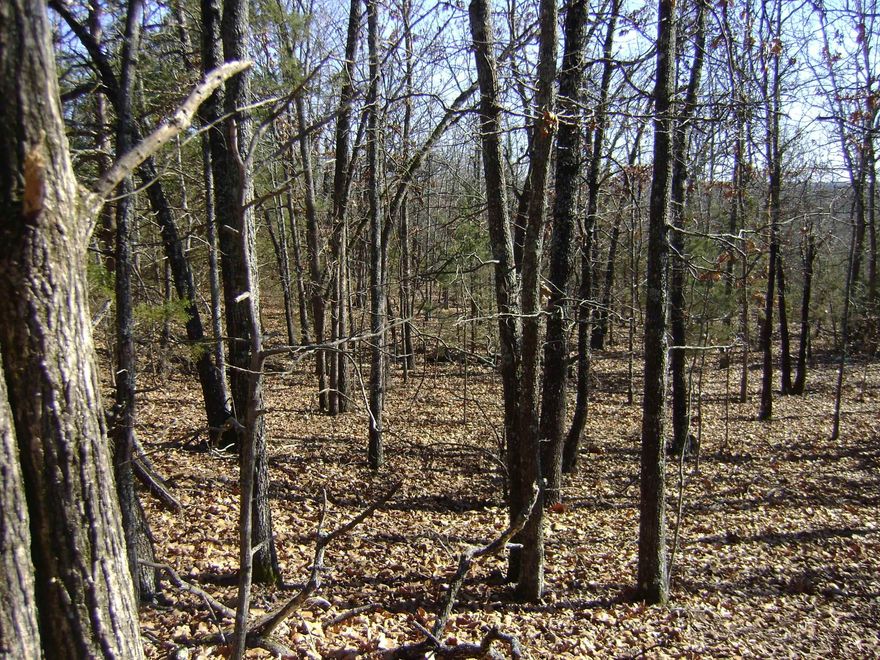 New Off Grid property on the market.  The acreage is all wooded and has been surveryed perfect for a small off grid homestead.  Cash or possible owner financing.  It is close to several lakes, golf courses and rivers in th Ozark foothills. Ride your side by side to the town of Horseshoe Bend to the stores, banks etc. Come see this property today before it is gone.