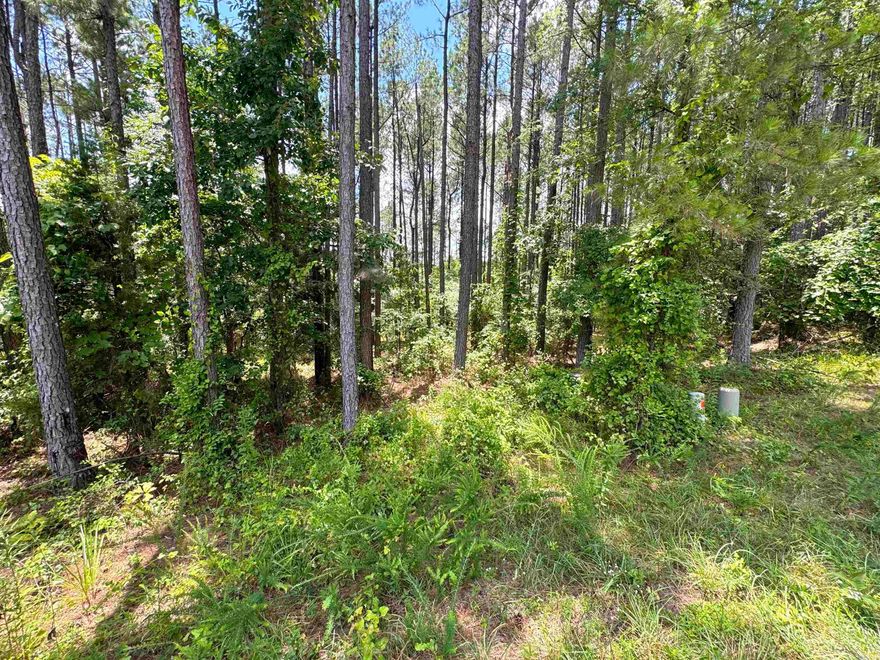 Prime, build-ready lot near Hot Springs Village’s East Gate and Isabella Golf neighborhood—an excellent opportunity for your retirement home, investment or second-home. Located just minutes from Isabella Golf Course, Village lakes, trails, and amenities. With utilities at the street and minimal prep needed, this lot is ready for your retirement home, project or weekend retreat.