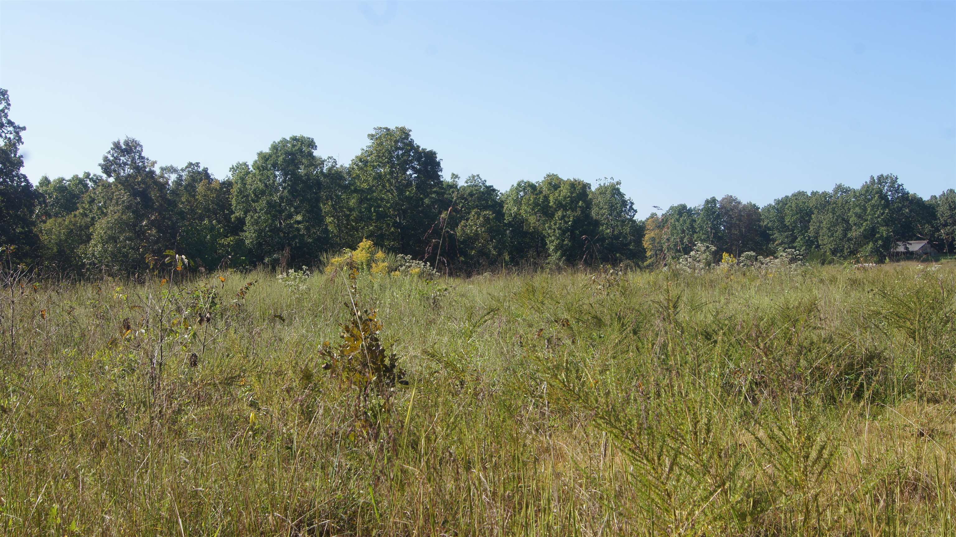 Ozarks nice, open acreage with some woods in Highland, Arkansas. The property has a 50Ć75 block shop building with a metal roof that is equipped with electricity. City water is available. Easy access to the land-not far off of AR Hwy 62.