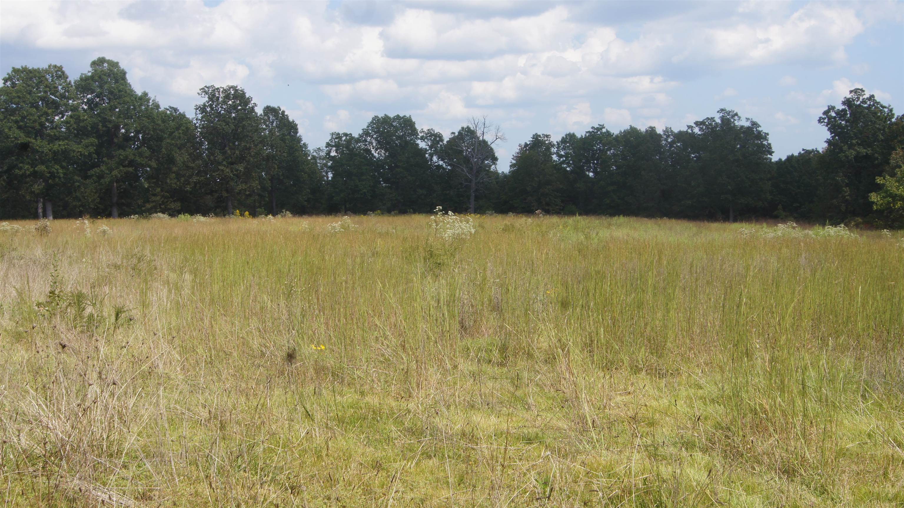 Not in Subdivision - Land