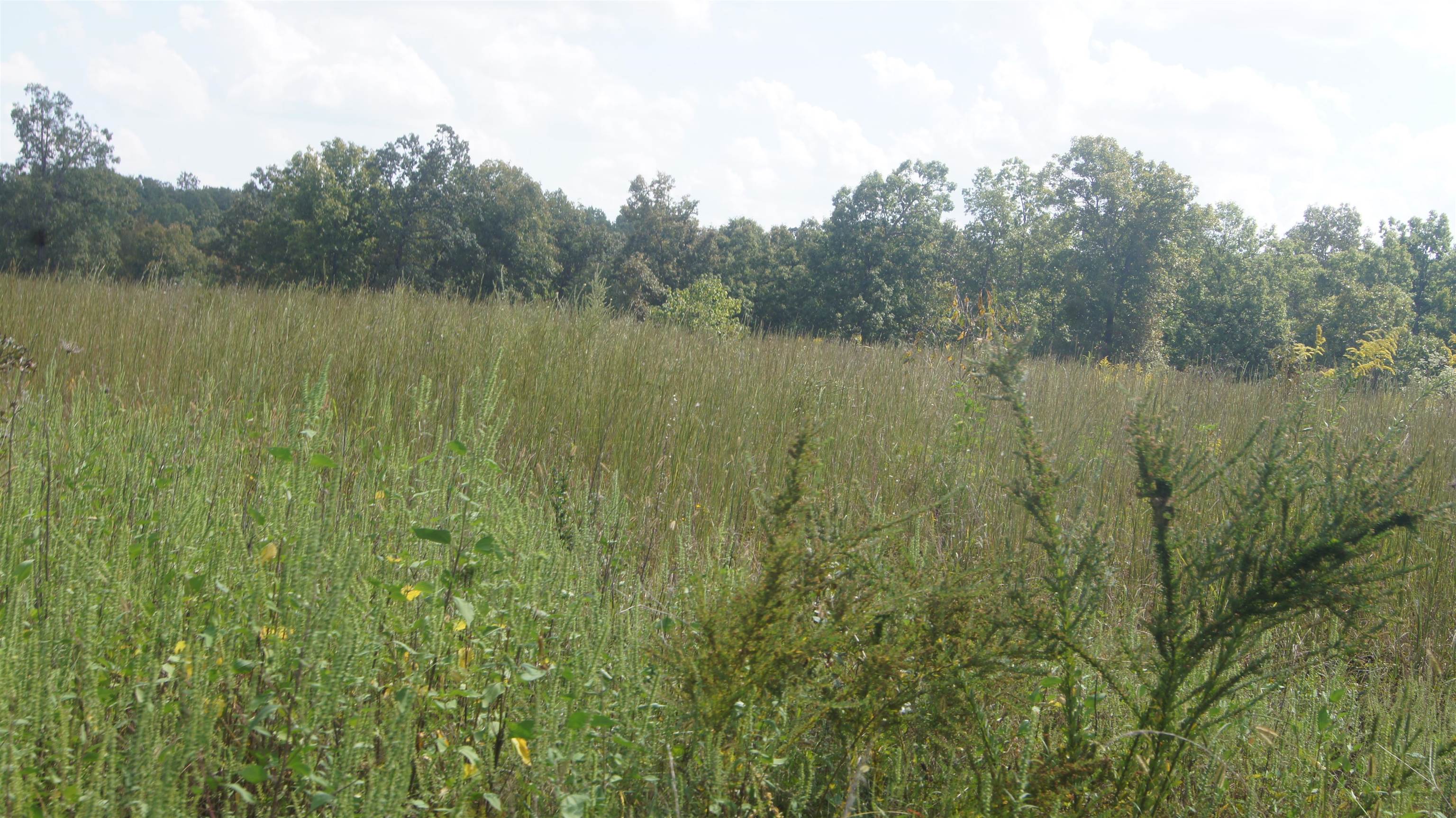 Not in Subdivision - Land