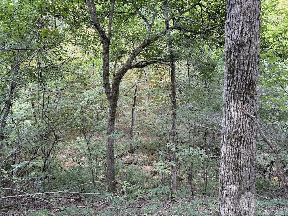 Not in Subdivision - Land