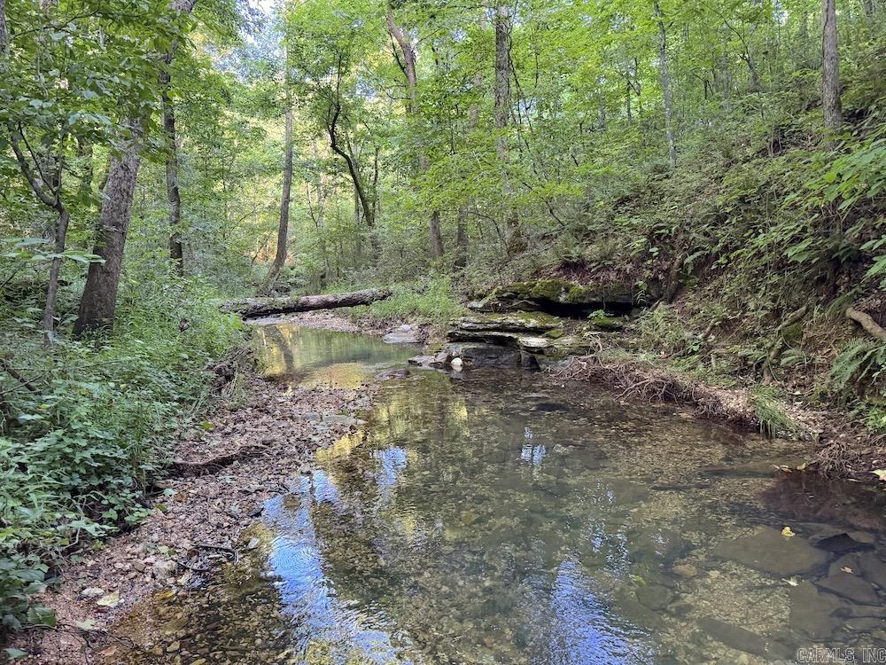 This wooded Ozark gem is perfect for outdoor lovers, offering privacy, adventure, and stunning natural features. With easy access from a gravel county road and over ¼ mile of electric along the front, itās ideal for building or development. Mature hardwoods: white oak, red oak, hickory, and more fill the landscape, with a cleared homesite atop the first ridge ready for your cabin or dream home. A winding drive leads to an off-grid homestead nestled among towering oaks, easily converted into a permanent residence or hunting cabin. Seasonal springs, creek beds, rock outcroppings, and caves add to the beauty. A rare, crystal-clear spring flows from a hillside and has long been trusted by locals. The terrain and low pressure make it a haven for deer and turkey, offering excellent hunting opportunities. With mature timber, electric availability, reliable water, and unmatched seclusion, this one-of-a-kind property is priced to sell and wonāt last long. Call today to schedule your private tour.