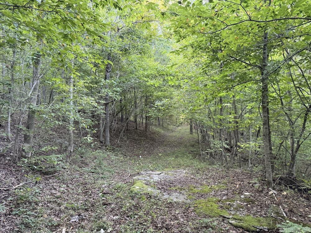 Not in Subdivision - Land