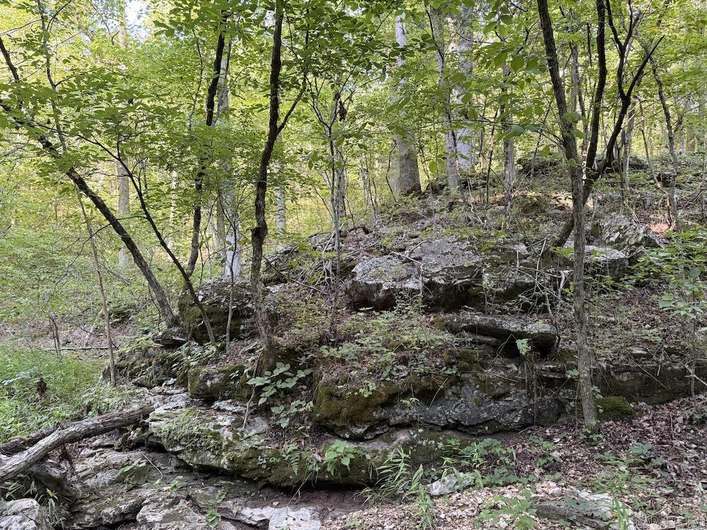 Not in Subdivision - Land