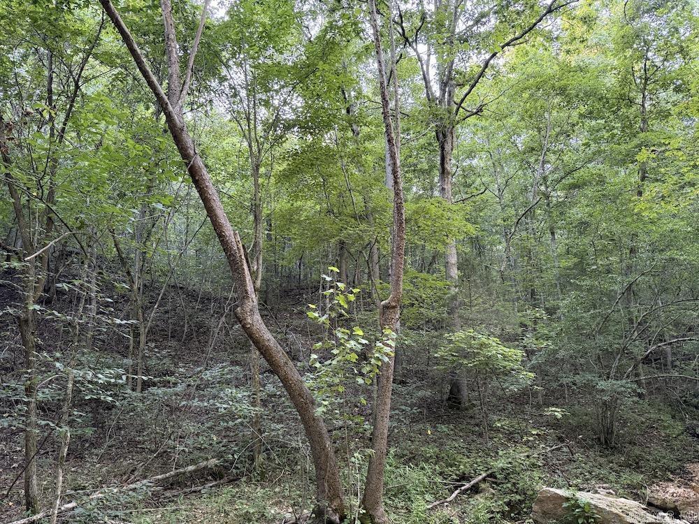 Not in Subdivision - Land