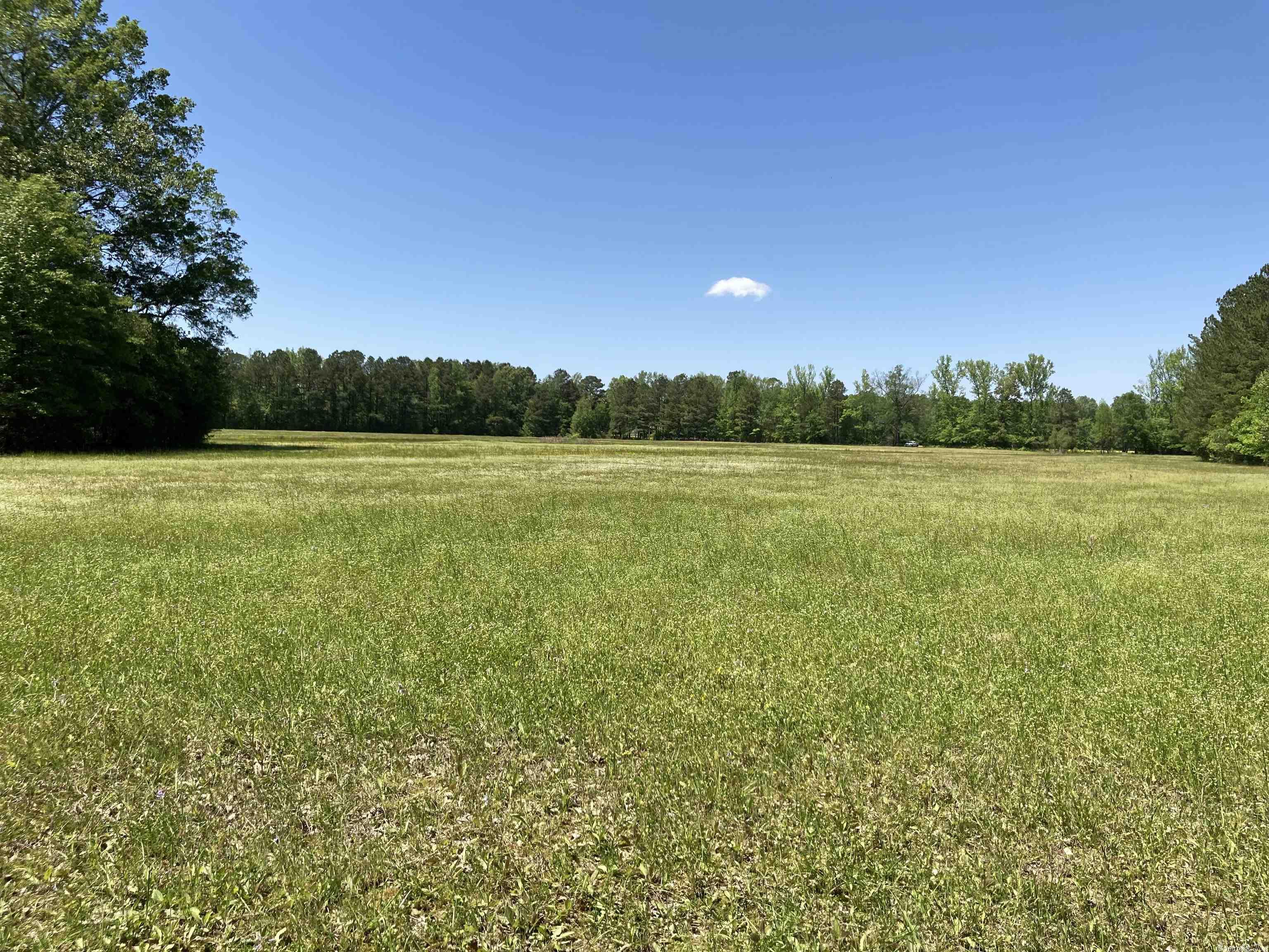 41.87 Acres! This property has great potential. Hunting, Farming, Horses, Cattle, Hay or to build your dream home. Beautiful creeks, woods with large oak trees, and open fields. The property is already partially fenced. It has access from Highway 67 and also from Chandler Road.