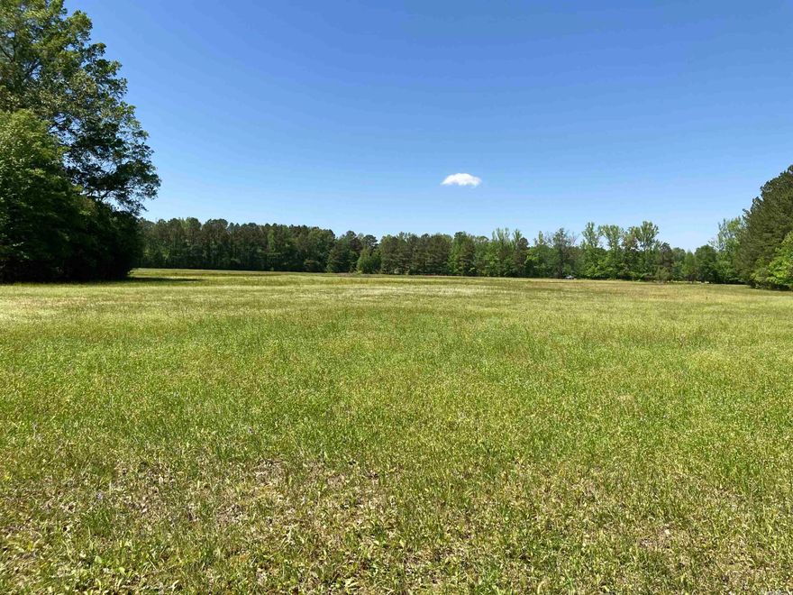 41.87 Acres! This property has great potential.  Hunting, Farming, Horses, Cattle, Hay or to build your dream home. Beautiful creeks, woods with large oak trees, and open fields. The property is already partially fenced. It has access from Highway 67 and also from Chandler Road.