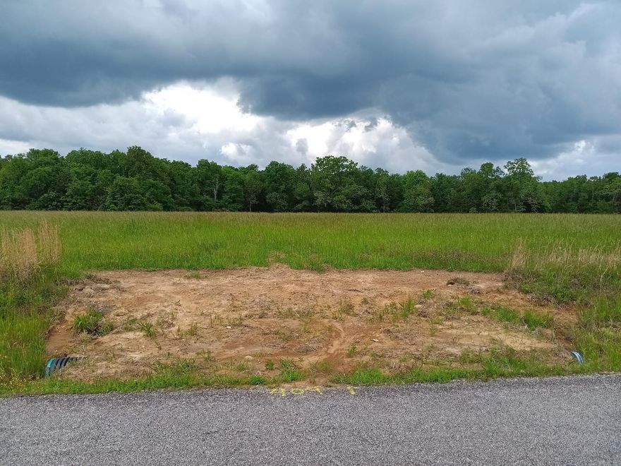 Two tracts (one behind the other) that also borders Baldridge Road on East & has an access there as well. There has been a road cut thru through the property as well. Nice mix of pasture & hardwoods with a small creek. This property is on top of a mountain but is mostly level or slight elevations till you get to the wooded part in the back. Easy to walk or ride through it with lots of wildlife including deer, squirrel, turkey & rabbits. Would have multiple places to build, hunt, own livestock or horses & enjoy the privacy. Last photo shows aerial of blue & red lines around the 2 tracts. No restrictions, agents see remarks.