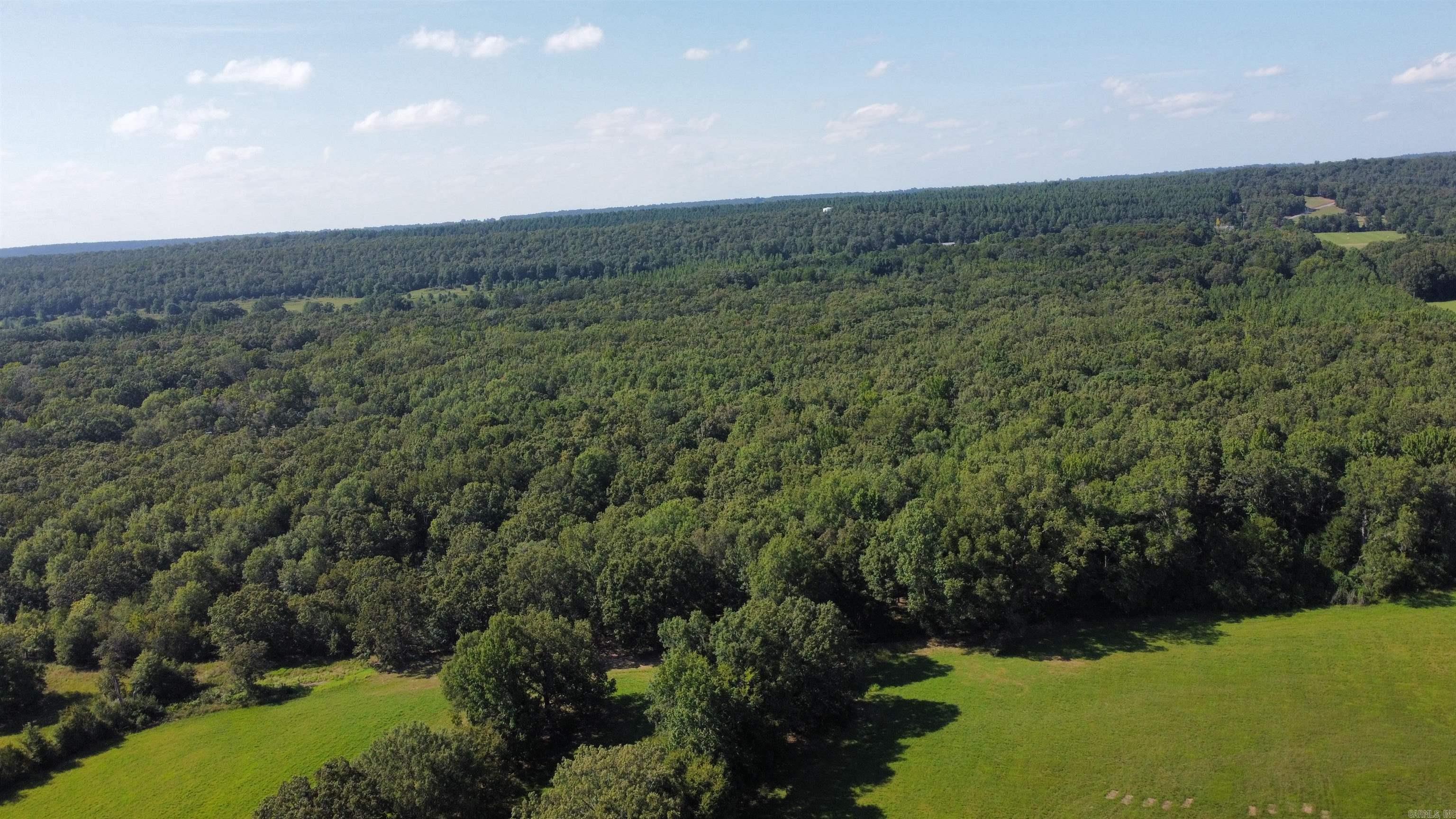 Escape the noise and embrace the serenity of country living with this beautiful 14.5-acre parcel of unrestricted, wooded land. Tucked away in a peaceful rural setting, this undeveloped property is a blank canvas ready for your vision—whether that’s a secluded homesite or a hunting retreat. Don’t miss your chance to own a piece of untouched country land. Schedule a showing or request more info today!