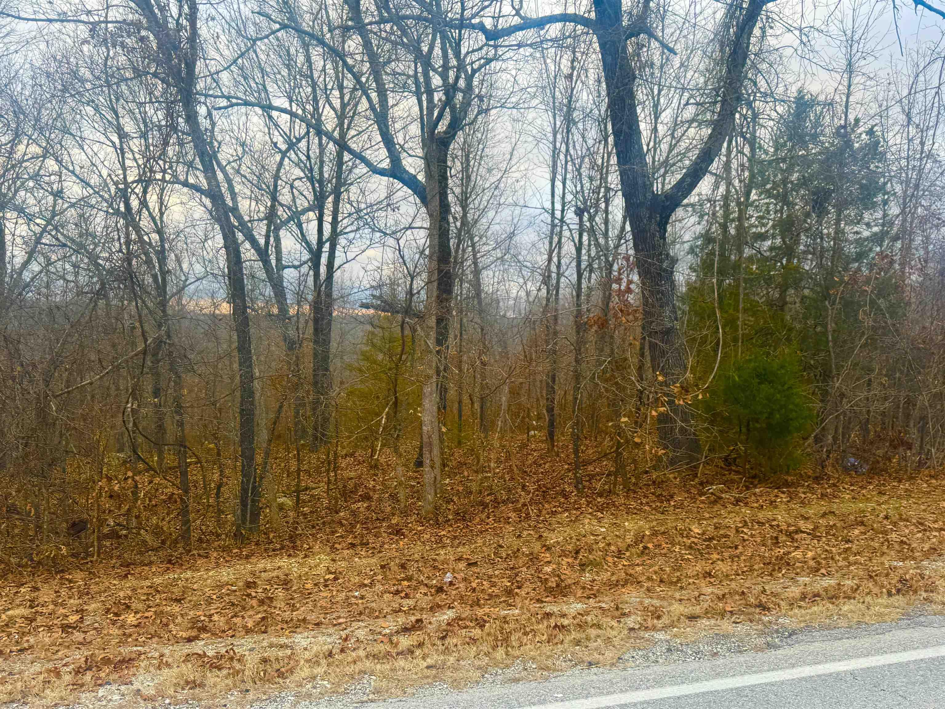 Looking for the perfect piece of land in Horseshoe Bend, Arkansas? This 5.43-acre lot in Crown Lake Estates is an excellent opportunity for those seeking a beautiful home site, vacation retreat, or smart investment property. Priced at $34,500, this spacious lot offers road frontage off AR-289 N with city water, electric, and sewer readily available, making it easy to develop. Situated in the heart of the Ozark Mountains, Horseshoe Bend is a sought-after destination known for its natural beauty, outdoor recreation, and peaceful lifestyle. With Crown Lake just minutes away, residents can enjoy boating, fishing, and water sports on this stunning 640-acre lake. The area is also home to the Turkey Mountain Golf Course, an 18-hole championship course that attracts golf enthusiasts from across the region. For those who love the great outdoors, the Strawberry River offers excellent fishing and canoeing, providing endless opportunities for adventure. This lot is just one of several available. Contact me today for more details, and letās find the perfect lot for your dream property. Learn more about the area: Arkansas.com/HorseshoeBend