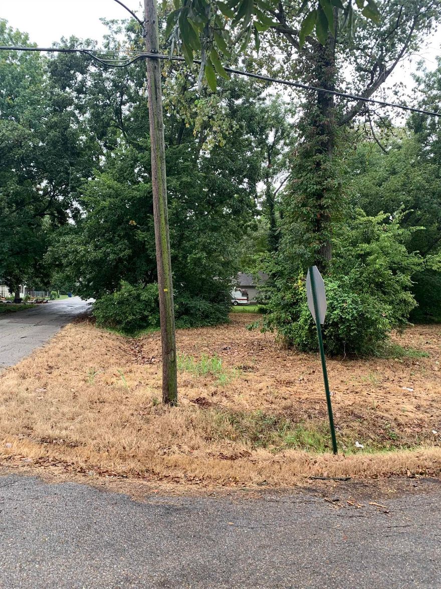 3 residential lots on the corner of 11th and Van Buren in West Memphis.