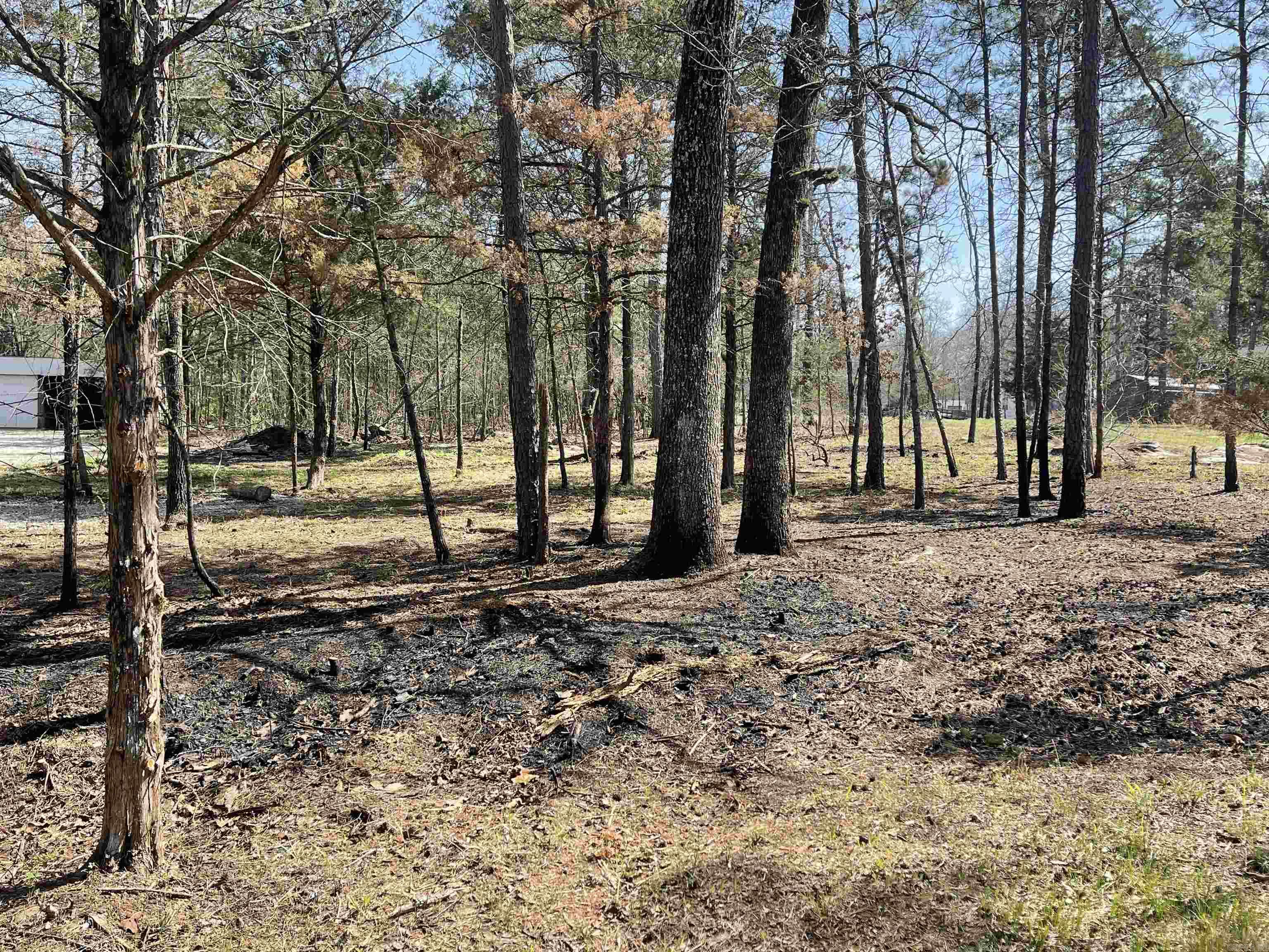 PINEY WOODS ESTATES - Residential