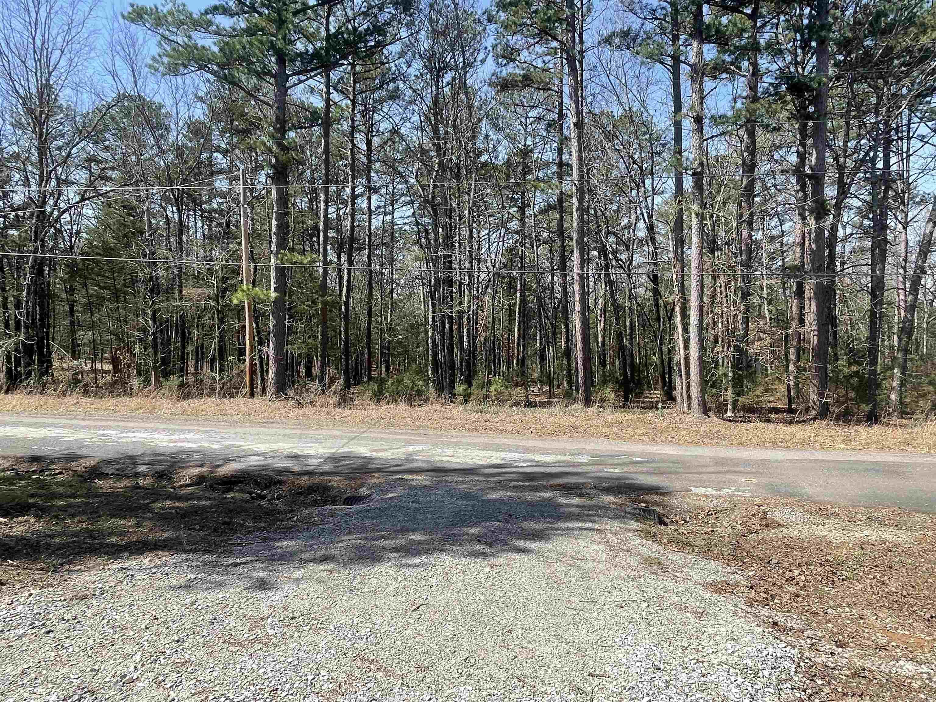 PINEY WOODS ESTATES - Residential