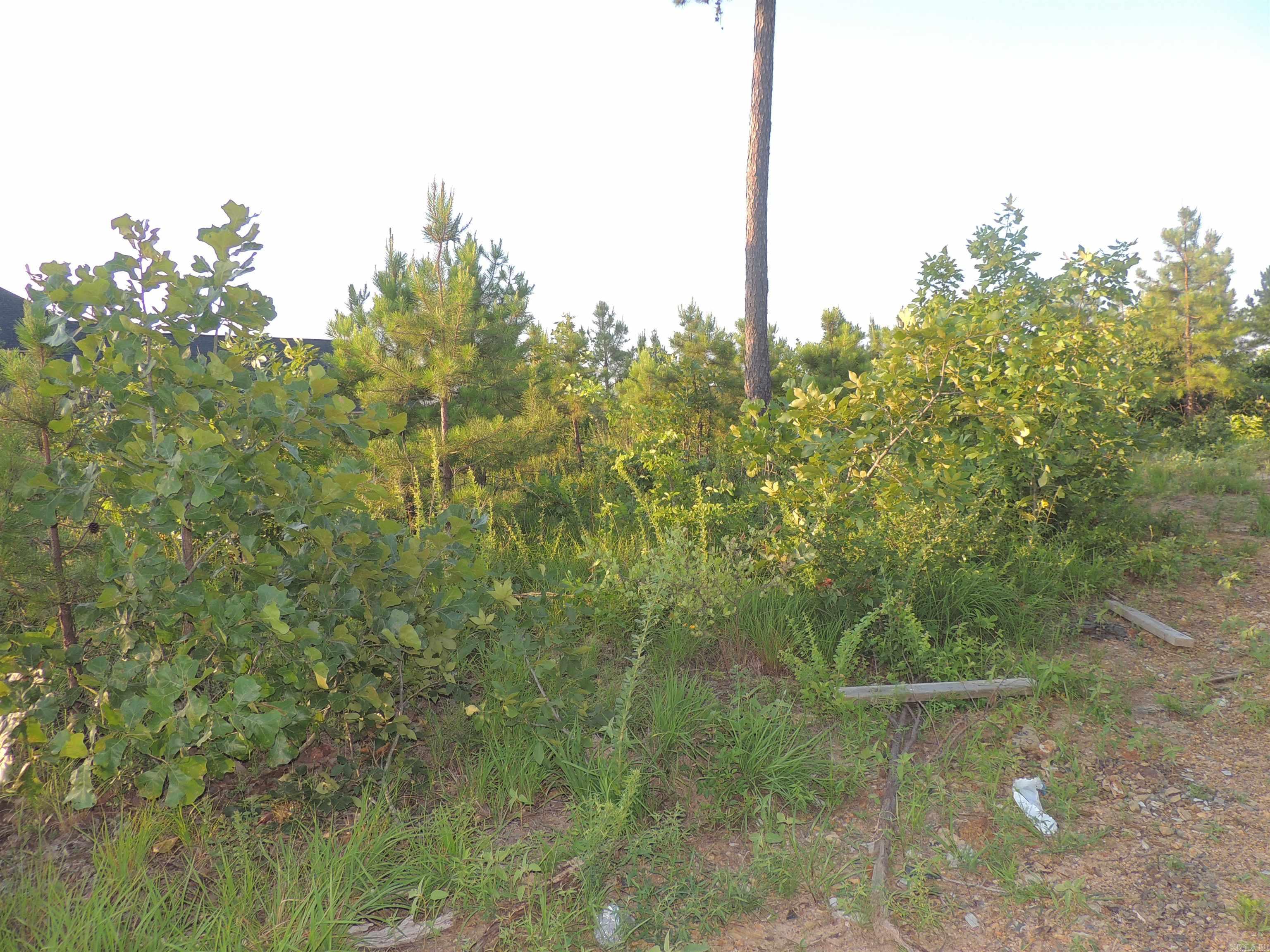 Mountain Crest Estates - Land