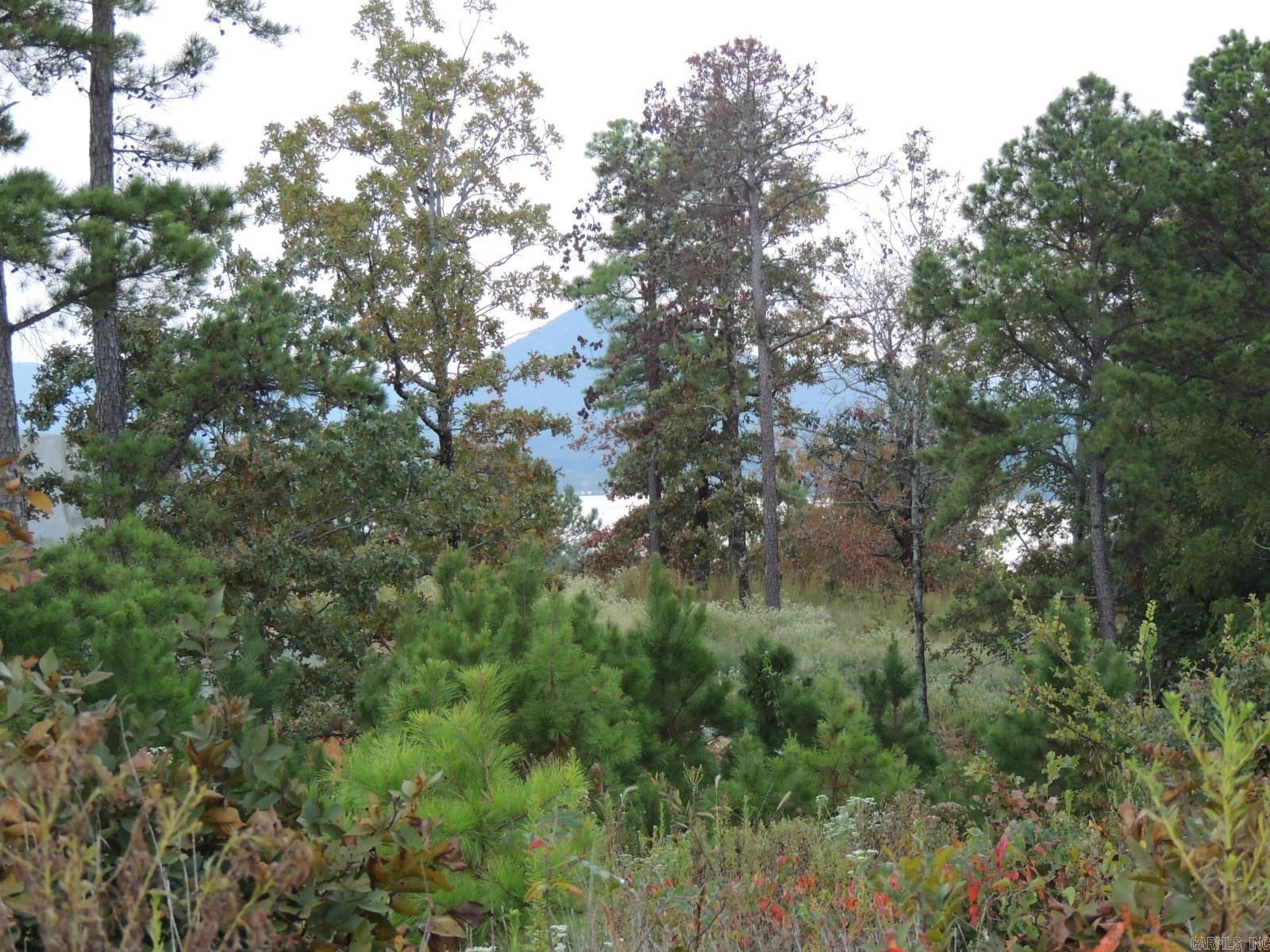 Mountain Crest Estates - Land