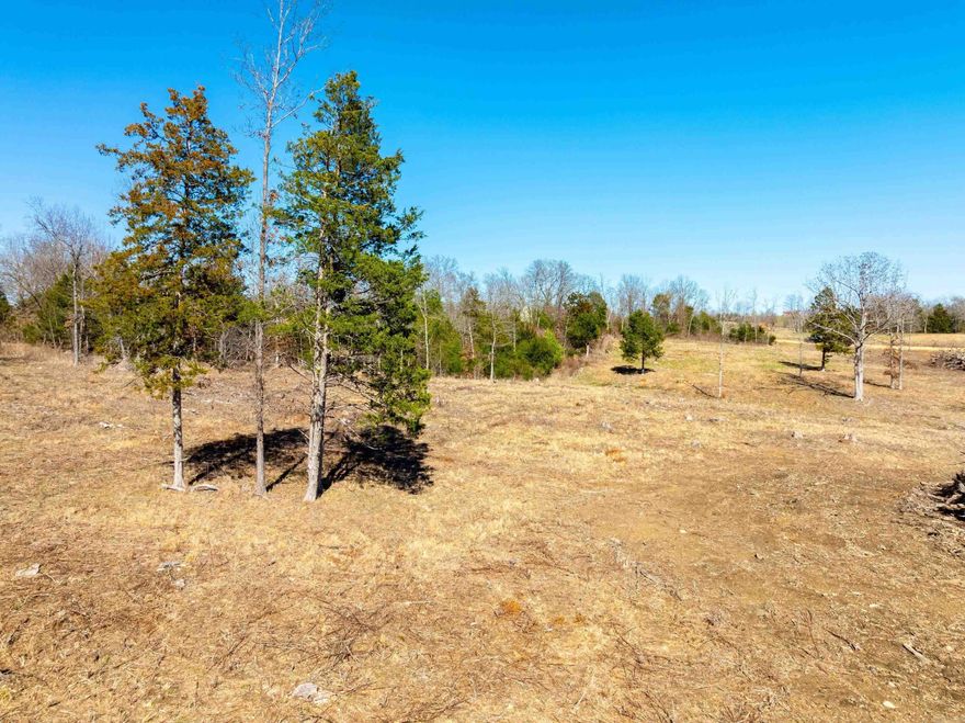 Affordable tracts like this are hard to find. This 40± acre property on Green Valley Road offers a great opportunity for hunting, building, or running a few cows in a quiet rural setting. The property is known for holding whitetail deer and eastern wild turkey, with a mix of timber and open areas providing excellent bedding and hunting opportunities. Some clearing has already been completed, giving you a great start for a homesite or cabin, while still maintaining privacy and cover. The land also offers potential for a small pasture or hobby farm. With gravel road frontage, access is easy, and the location is convenient—just minutes from Salem and approximately 15 minutes to Ash Flat. Whether you’re looking for an affordable hunting property, a place to build, or a land investment, this tract is a rare find.