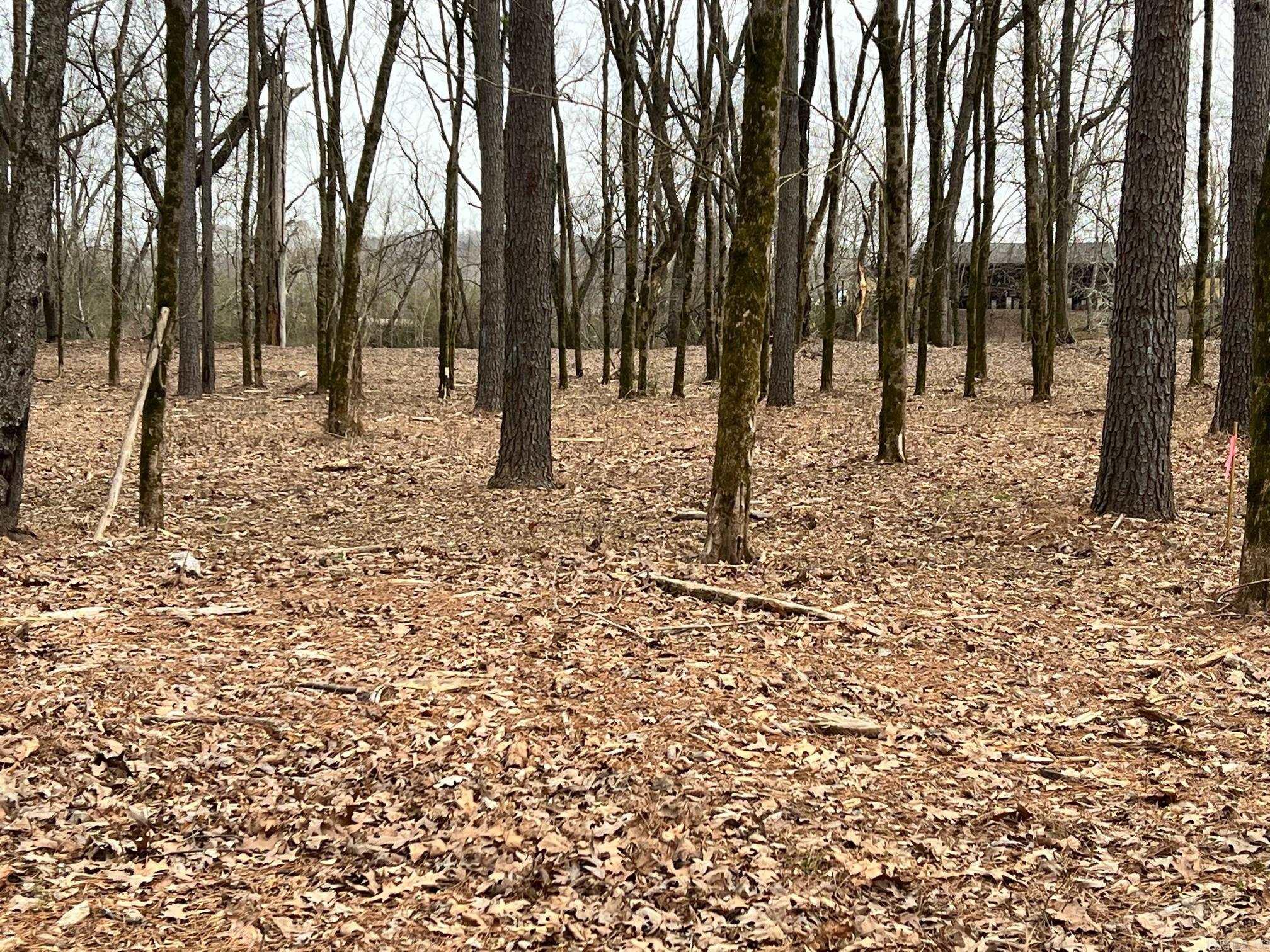 RIVER CREEK ESTATES - Land