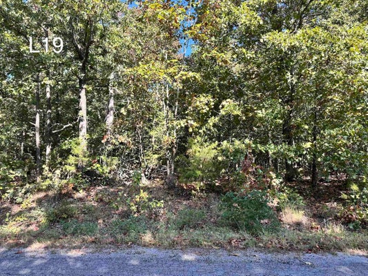 NIOKA DR, CHEROKEE VILLAGE, AR 72529 - Image ce43db4f32fde3b0c01d0d728f415dd4/3200148414