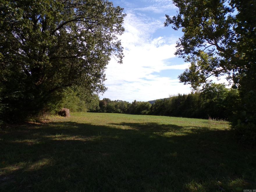 Many great opportunities for this property in Mountain View, AR. This property is located on State Hwy 14 between Harps and the US Forestry Office Building.  City utilities available.  Land lays well and is all usable.  2 entrances off of Highway.  Trees separate the neighboring lands.  Mostly cleared waiting for construction.  Zoning - General Commercial.  All this priced at $299,500.00.