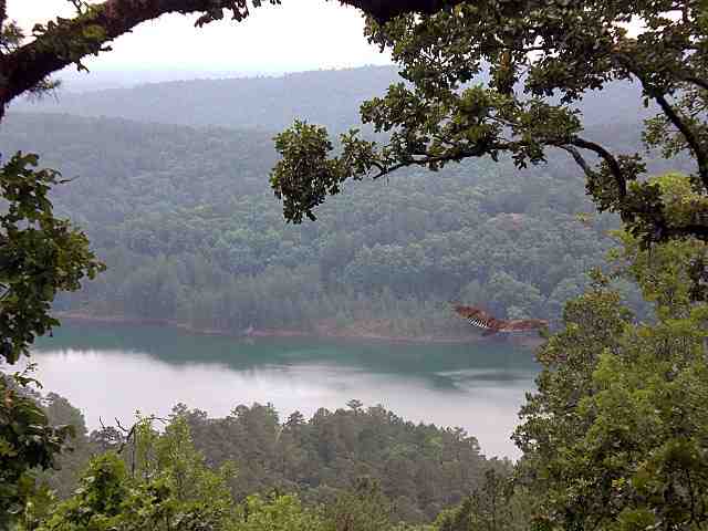 Mesero - Residential