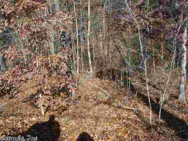 Natural Springs - Land