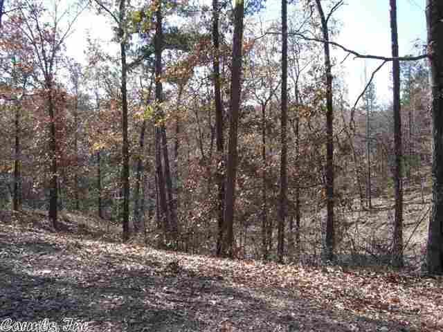 Natural Springs - Land