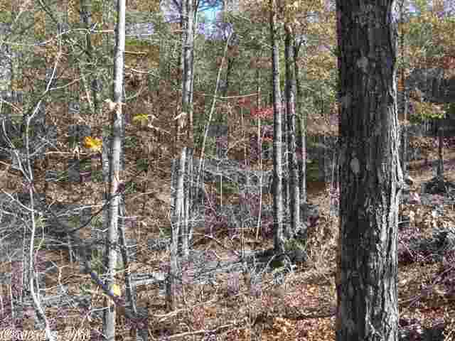 Natural Springs - Land