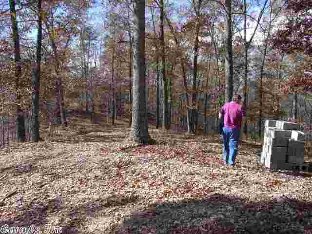 Natural Springs - Land