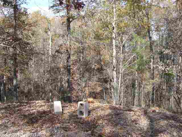 Natural Springs - Land