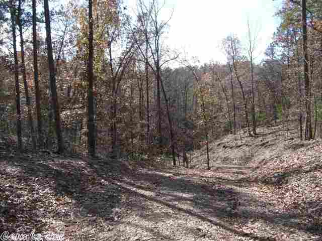 Natural Springs - Land