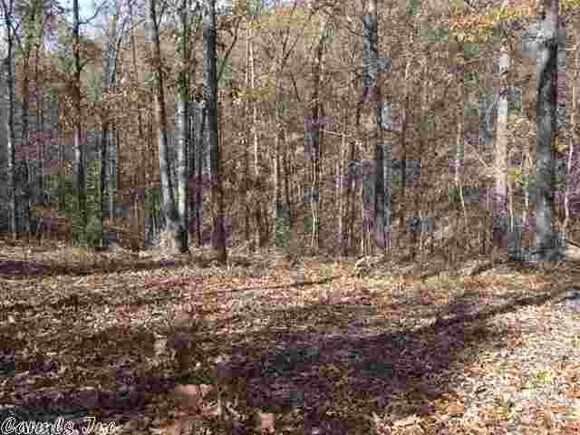 Natural Springs - Land