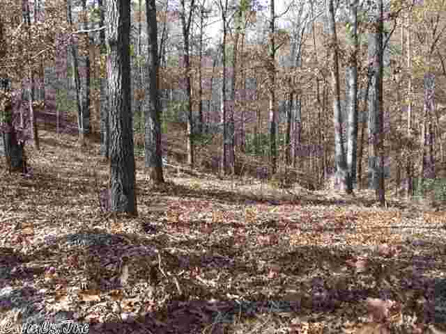 Natural Springs - Land