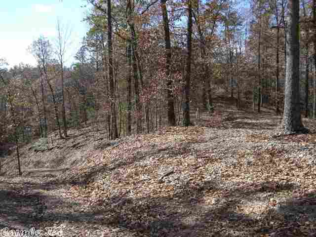 Natural Springs - Land