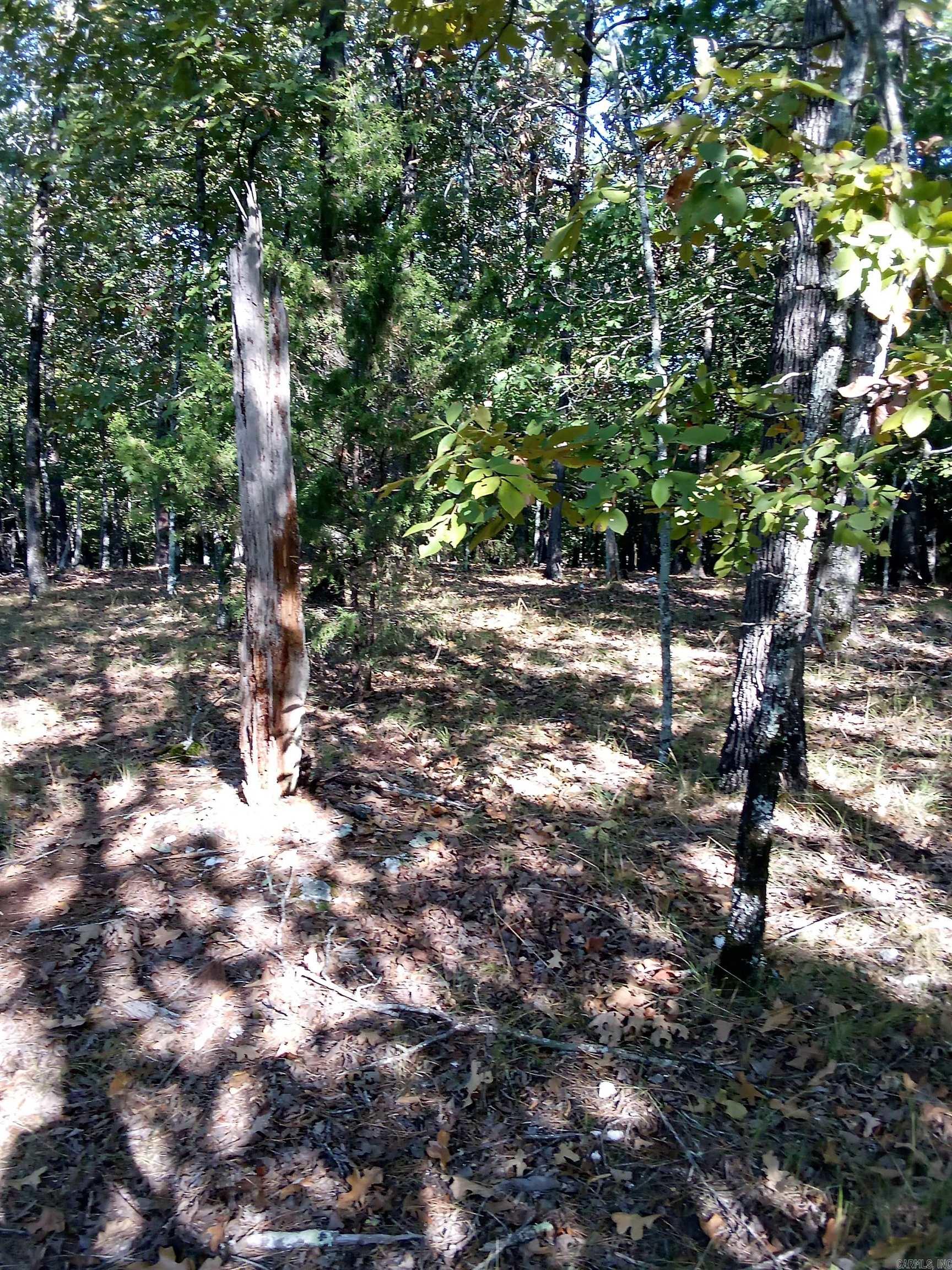 Beautiful vacant lot in a private golf course in Diamante subdivision & country club is home to golf digest #3 ranked AR golf course. HSV is America's largest gated community encompassing 26,000 acres, over 30 miles of walking trails, 9 golf courses and 11 lakes