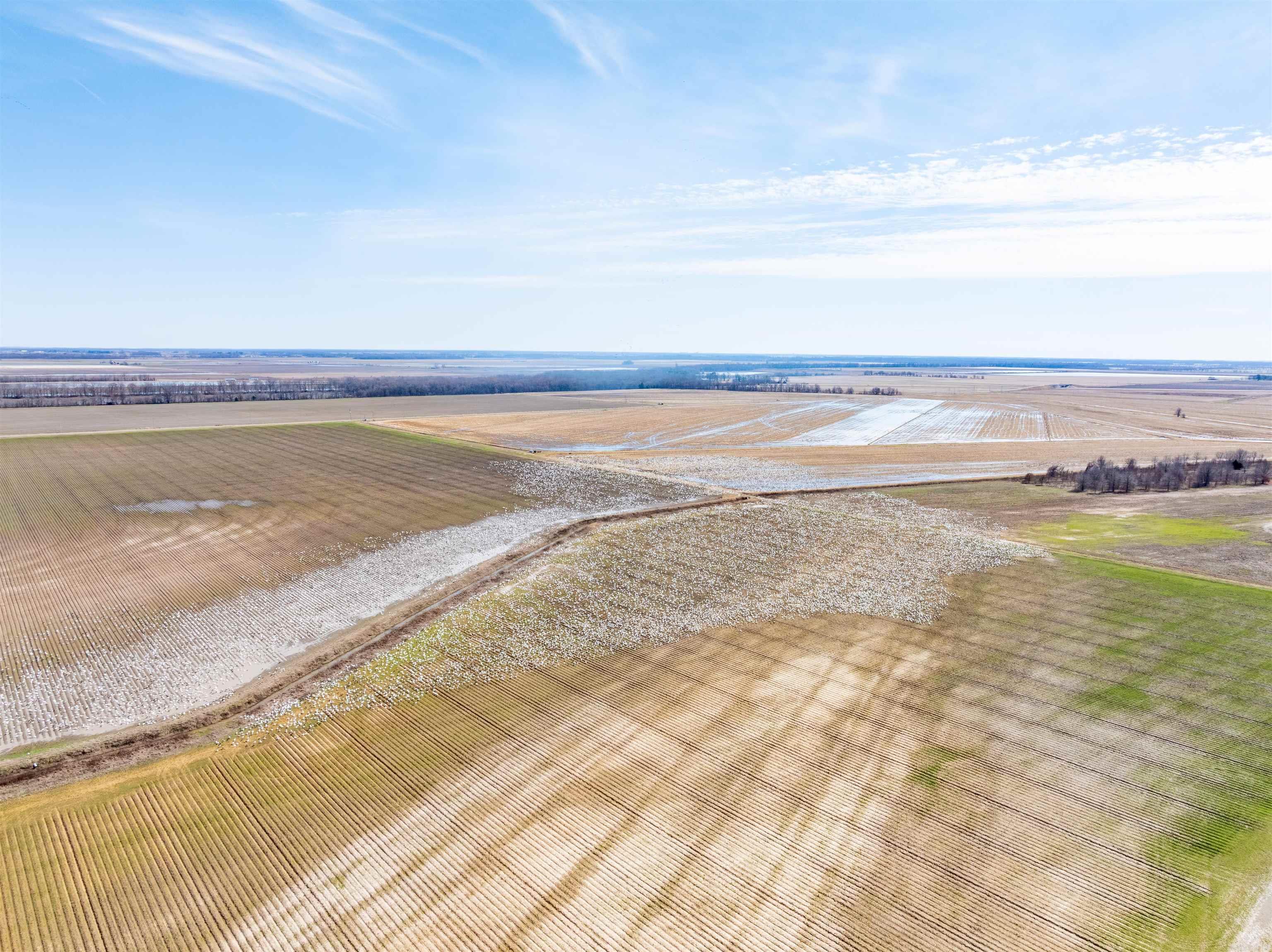 Metes & Bounds - Farm