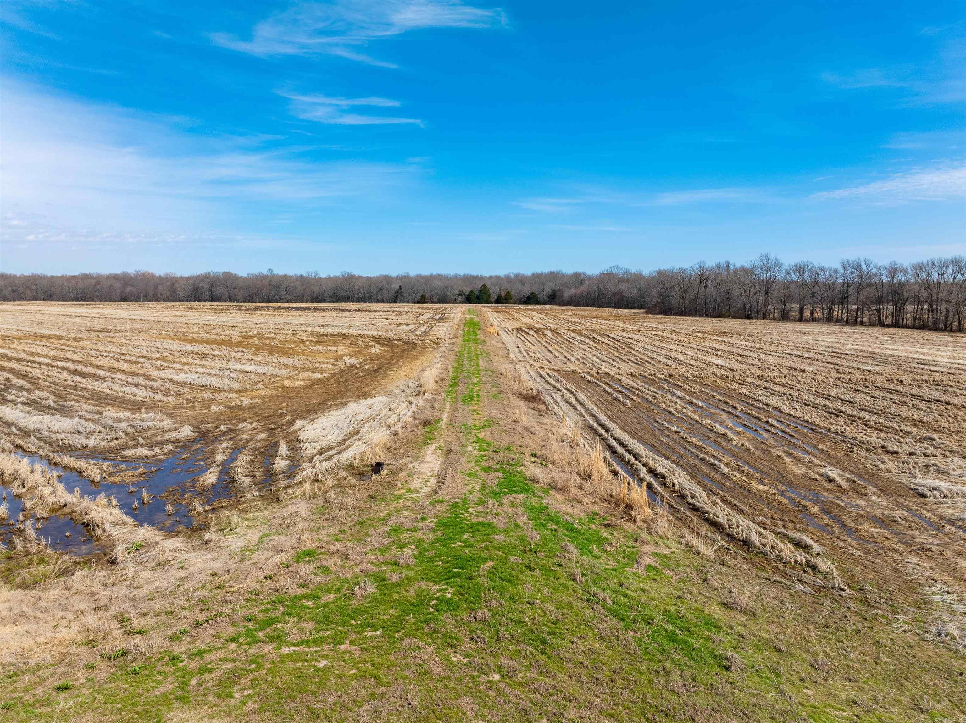 Metes & Bounds - Farm