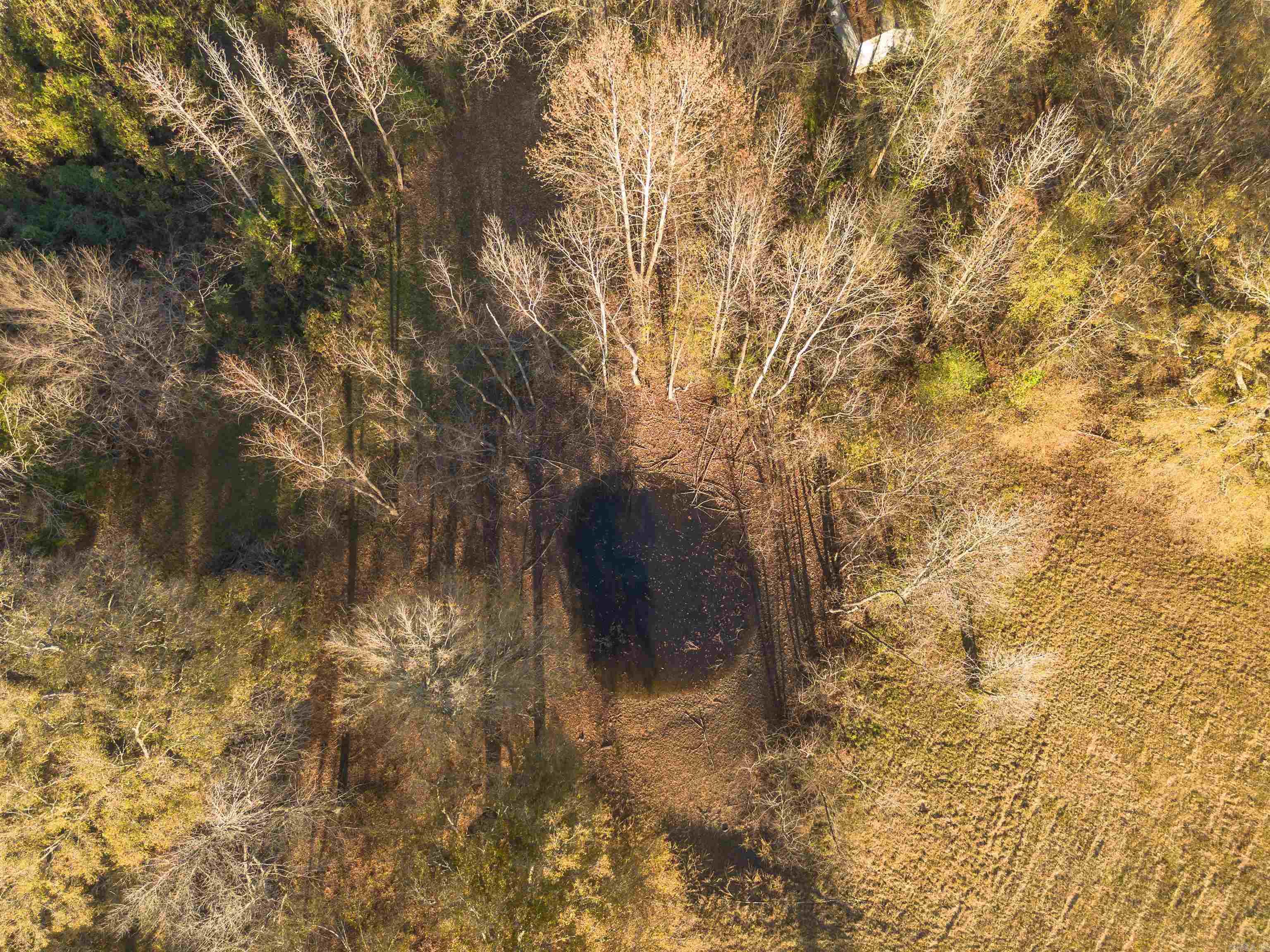 Cadron Meadows - Land