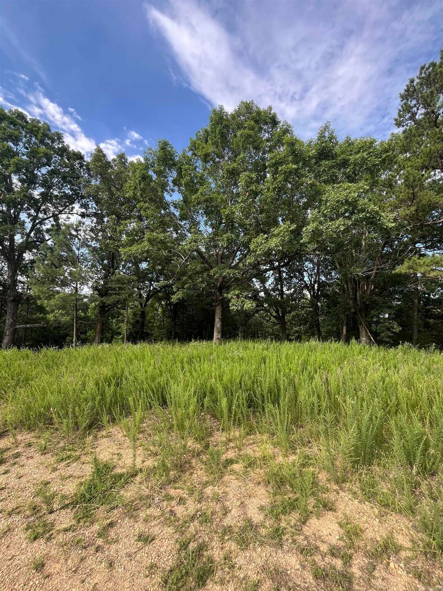 15.45 acres of land. No structures. Water and electric access, but not on the property. This acreage is full of wildlife. There is a clearing on the road frontage to build your dream home.