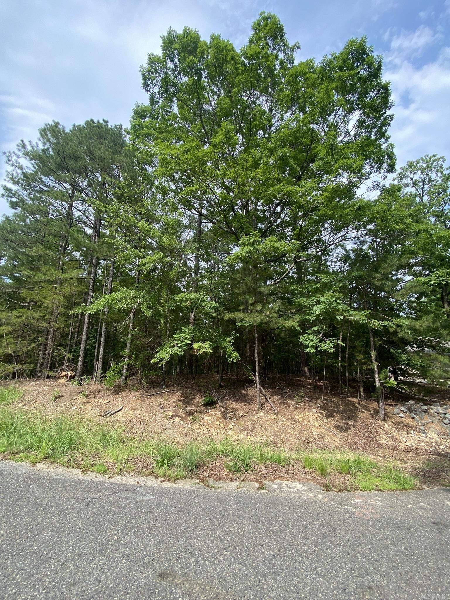Build your dream home on this beautiful east-side lot in Hot Springs Village, one of the largest gated communities in the U.S. Surrounded by mature trees and natural beauty, this peaceful, private setting is ideal for a custom retreat. Located near the East Gate, you’ll have quick access to daily conveniences and the historic city of Hot Springs, known for its thermal baths and vibrant culture. Whether you're planning to retire, raise a family, or invest in a getaway, this lot offers endless potential. Don’t miss this prime opportunity in a highly desirable location.