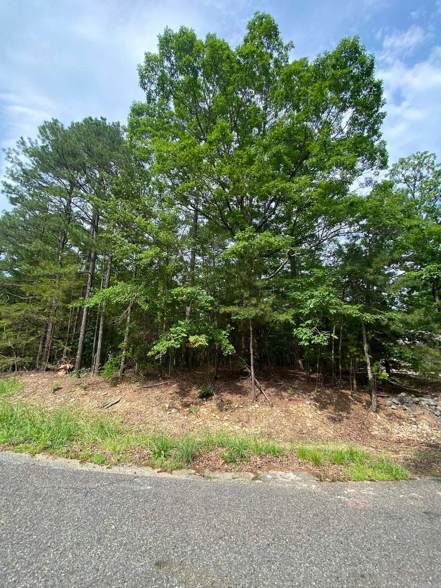 Build your dream home on this beautiful east-side lot in Hot Springs Village, one of the largest gated communities in the U.S. Surrounded by mature trees and natural beauty, this peaceful, private setting is ideal for a custom retreat. Located near the East Gate, you’ll have quick access to daily conveniences and the historic city of Hot Springs, known for its thermal baths and vibrant culture. Whether you're planning to retire, raise a family, or invest in a getaway, this lot offers endless potential. Don’t miss this prime opportunity in a highly desirable location.