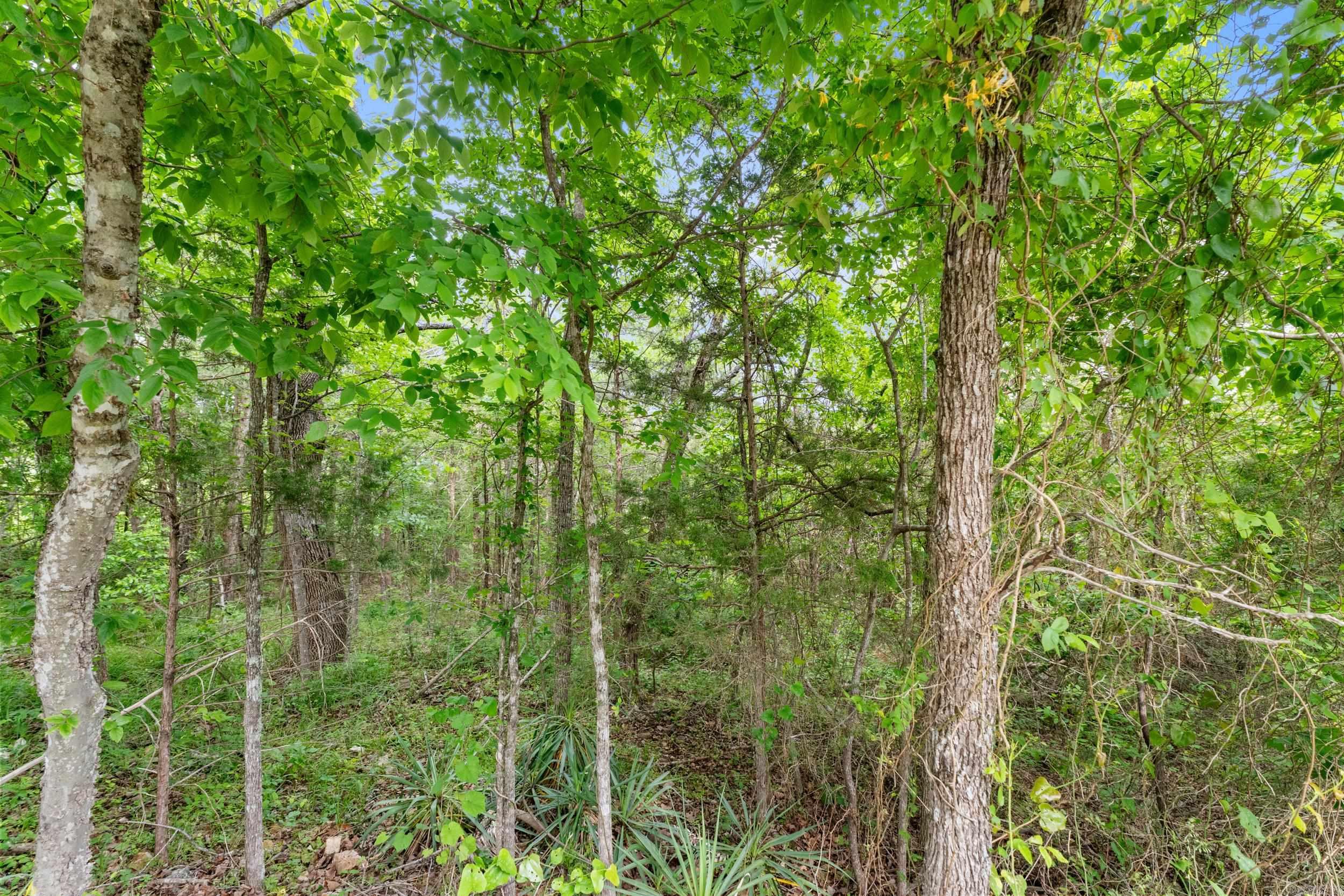 Kingswood Estates - Land