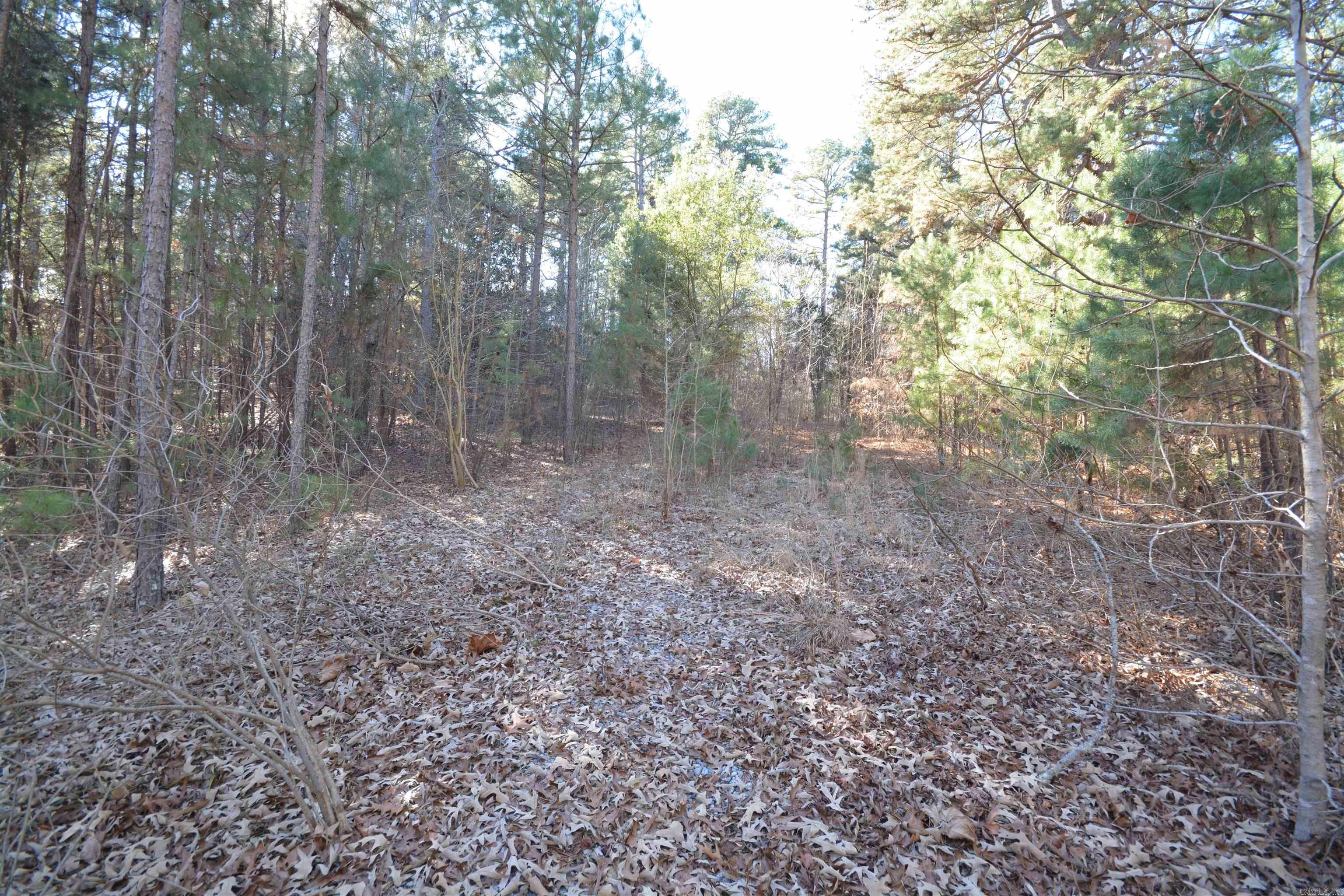 Metes & Bounds - Land