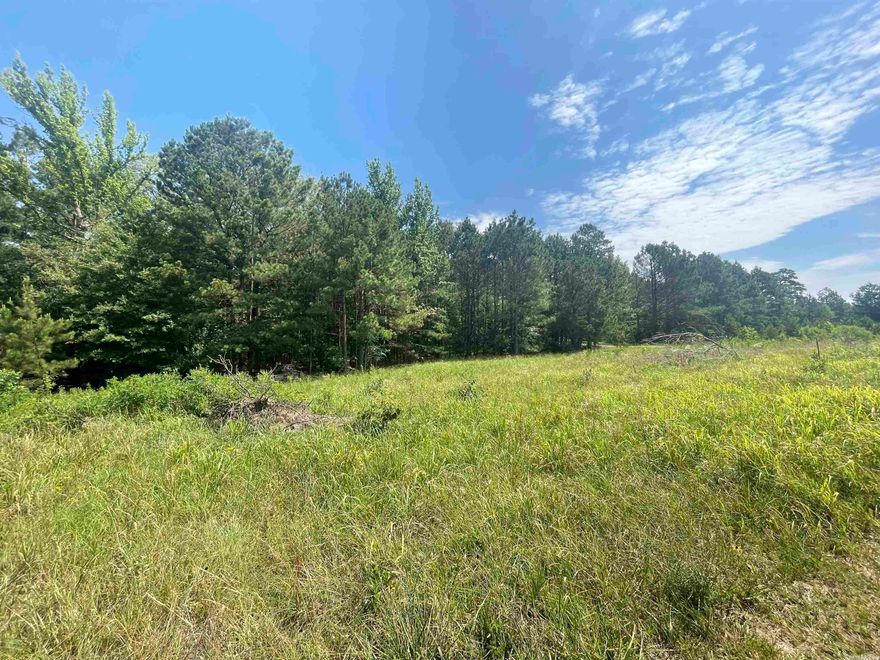 Looking for some acreage in the Bismarck, Arkansas area near DeGray Lake?  Check out this 2.65 Acre tract located on paved road along Quapaw just 1.9 Miles to Oak Bower Boat Landing and 3 Miles to Arlie Moore Boat Landing at DeGray Lake.  Minutes to Highway 7 between Hot Springs and Arkadelphia!  Build your dream home or cabin in the woods near DeGray Lake State Park today!