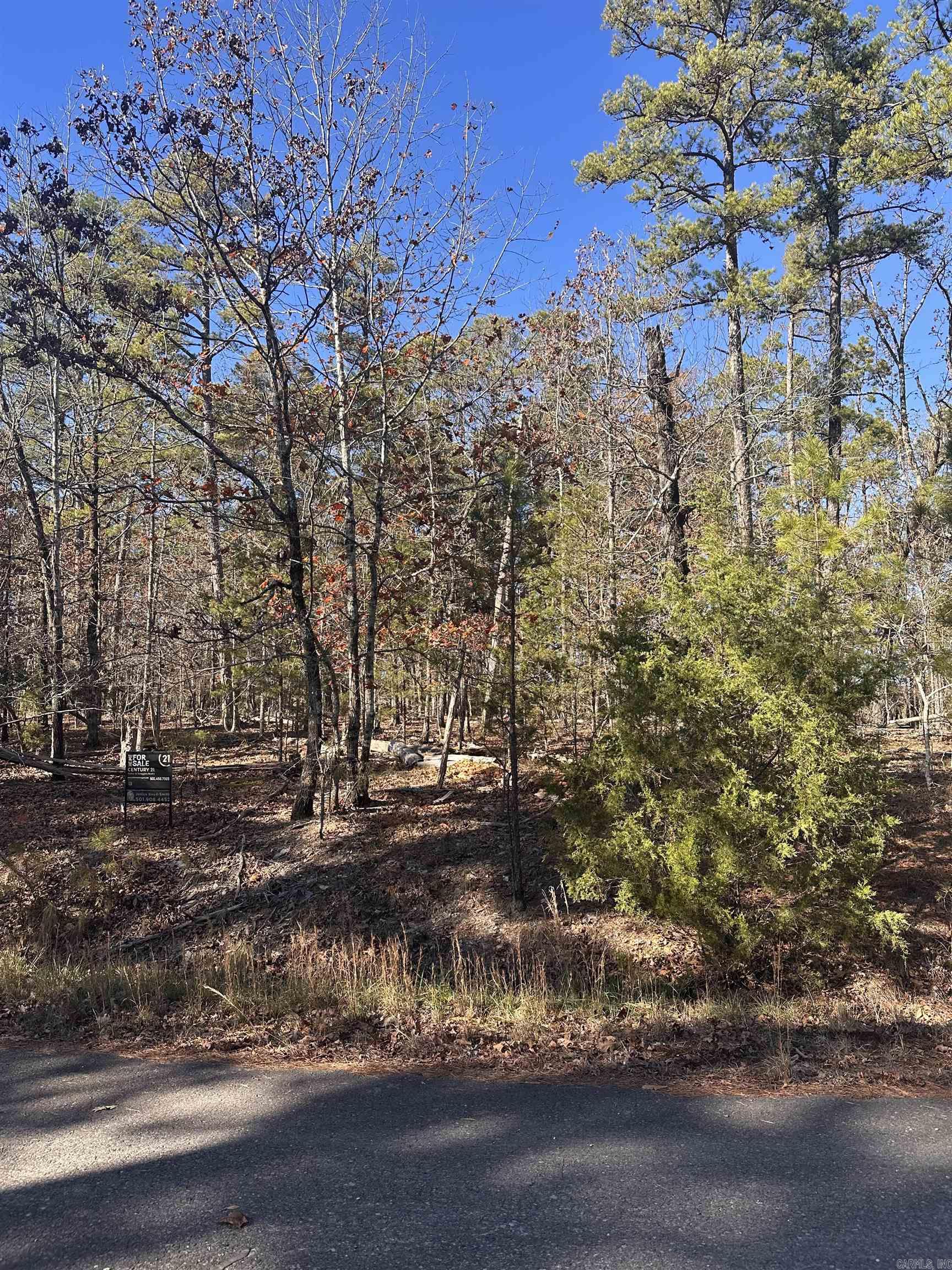 Nestled in the serene Baltanas subdivision of Hot Springs Village, this corner lot offers the perfect canvas for your dream home. Located in a gated community, it boasts access to stunning natural surroundings, top-notch amenities, and a peaceful atmosphere. This residential vacant land is ideal for those seeking privacy and tranquility while still being close to golf courses, hiking trails, and recreational facilities. Whether you're building a vacation retreat or a permanent residence, this property is a fantastic investment opportunity.